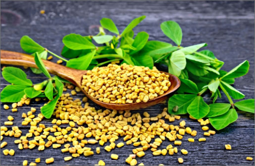 fenugreek extract