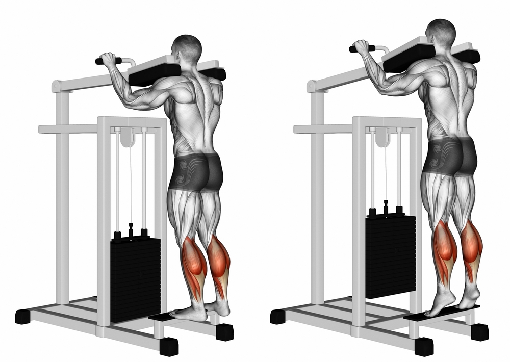 Standing calf raises