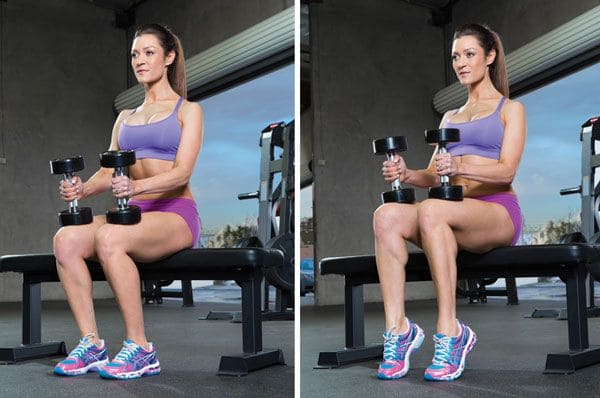 seated calf raises_free weight