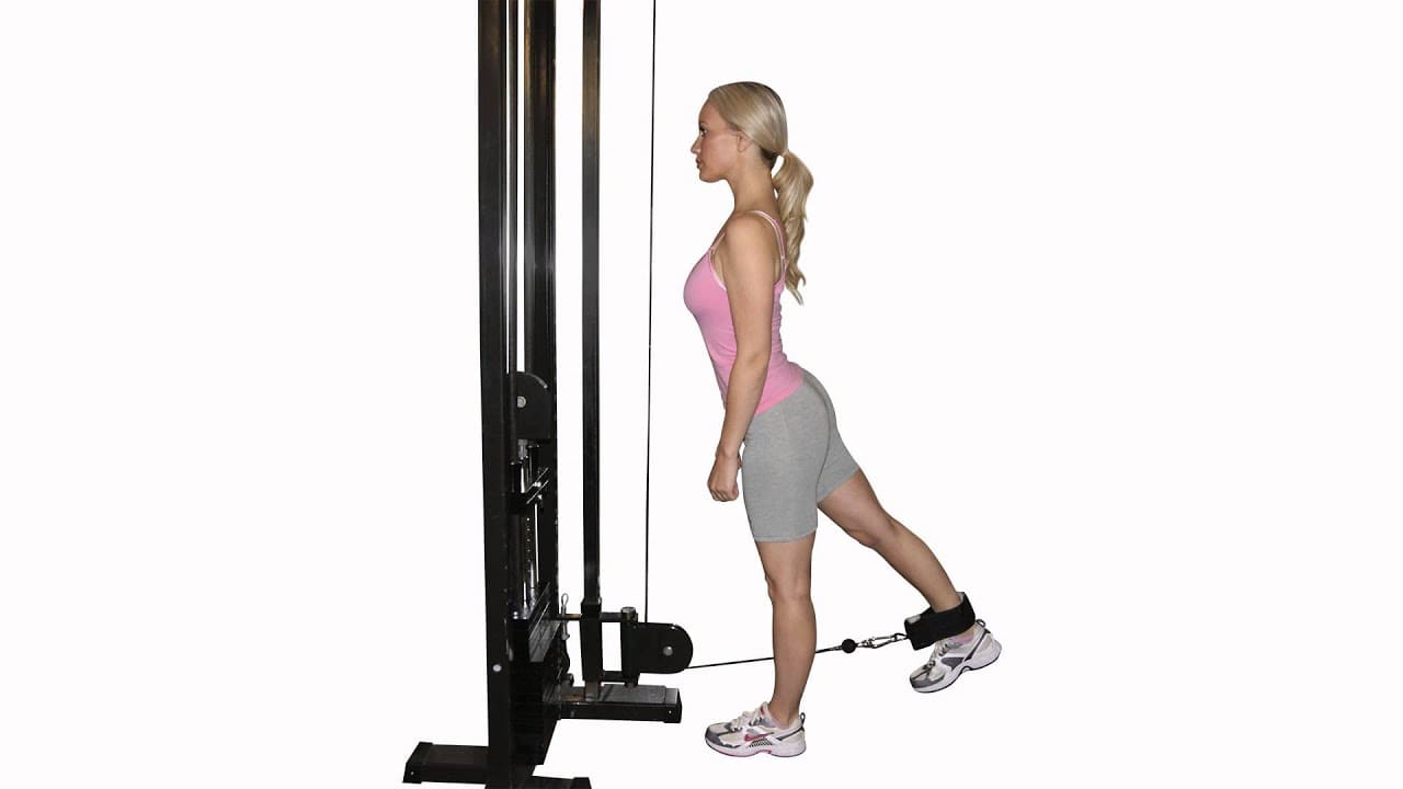 standing cable hip extension_1