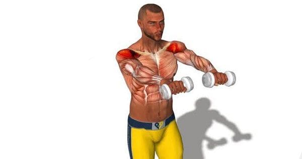 dumbbell-front-raise-deltoid-muscles