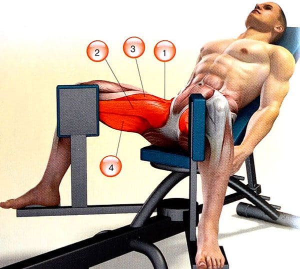 exercise-on-the-abduction-machine-working-muscles