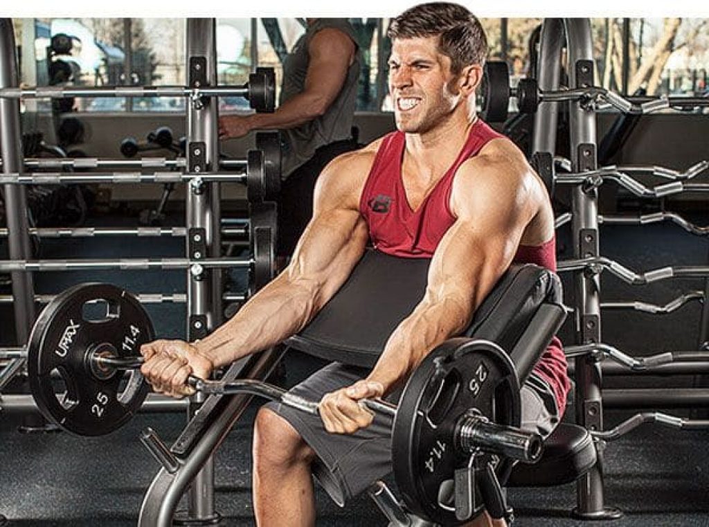 Scott Bench Curls — AAFS