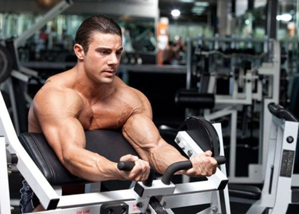 Scott Bench Curls — AAFS