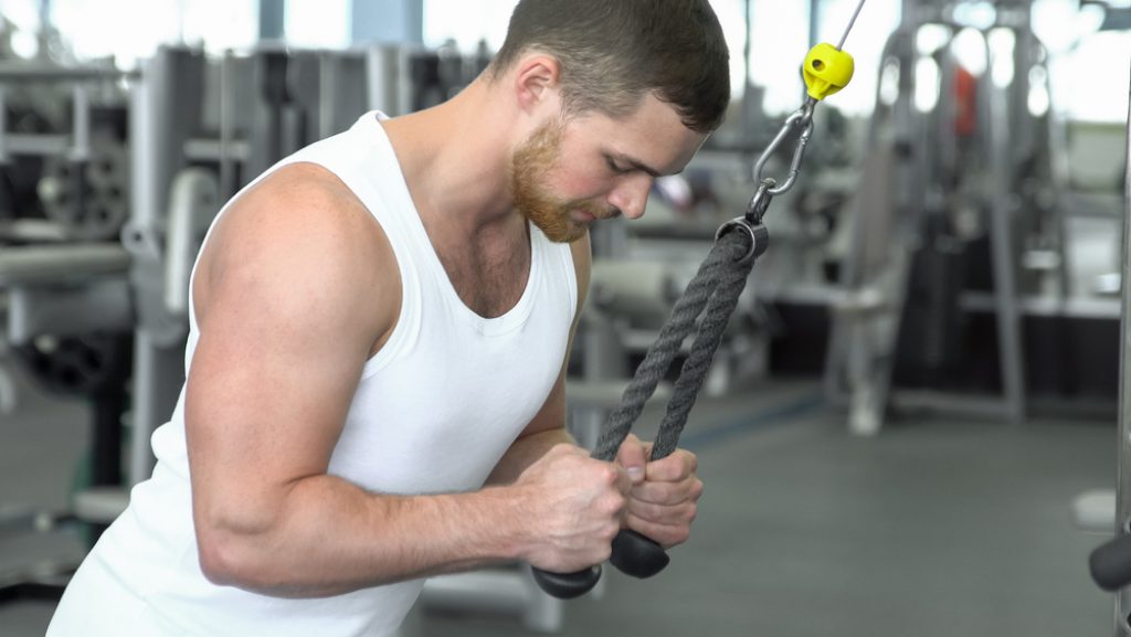 Pump Up Your Abs Properly Use Powerful Kneeling Abs Crunch — AAFS